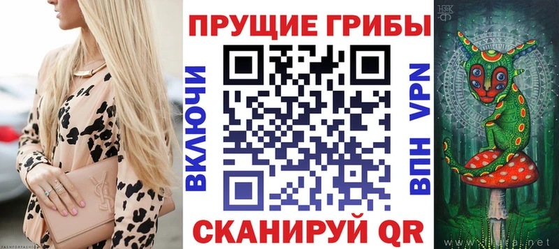 закладка  Кострома  Галлюциногенные грибы мухоморы 